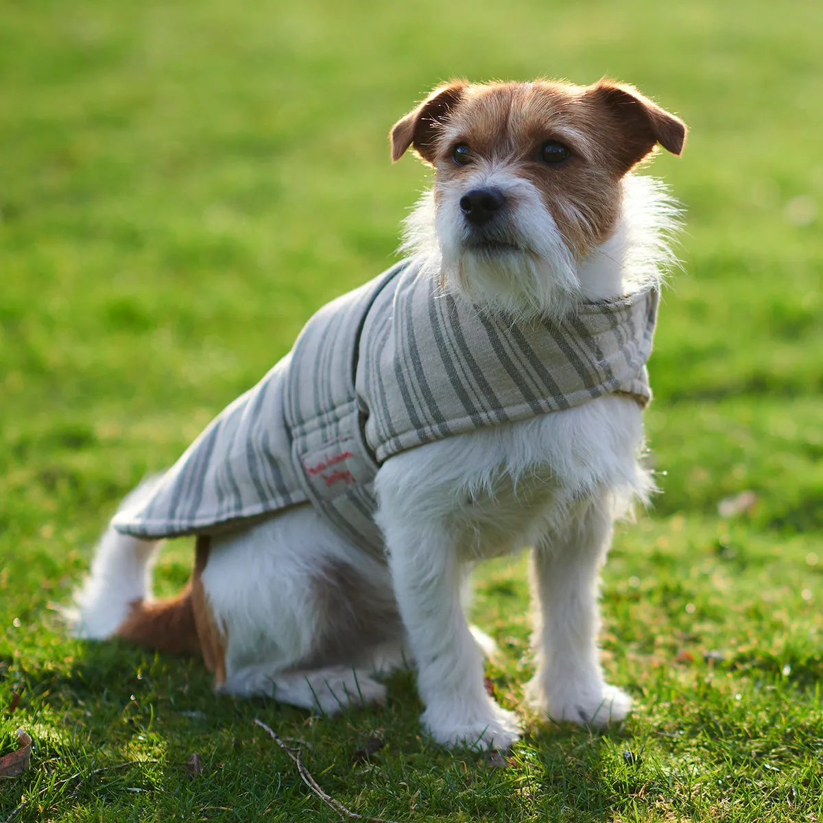 Charcoal Stripe Dog Coat