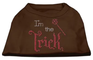 I'm the Trick Rhinestone Dog Shirt Brown Med (12)