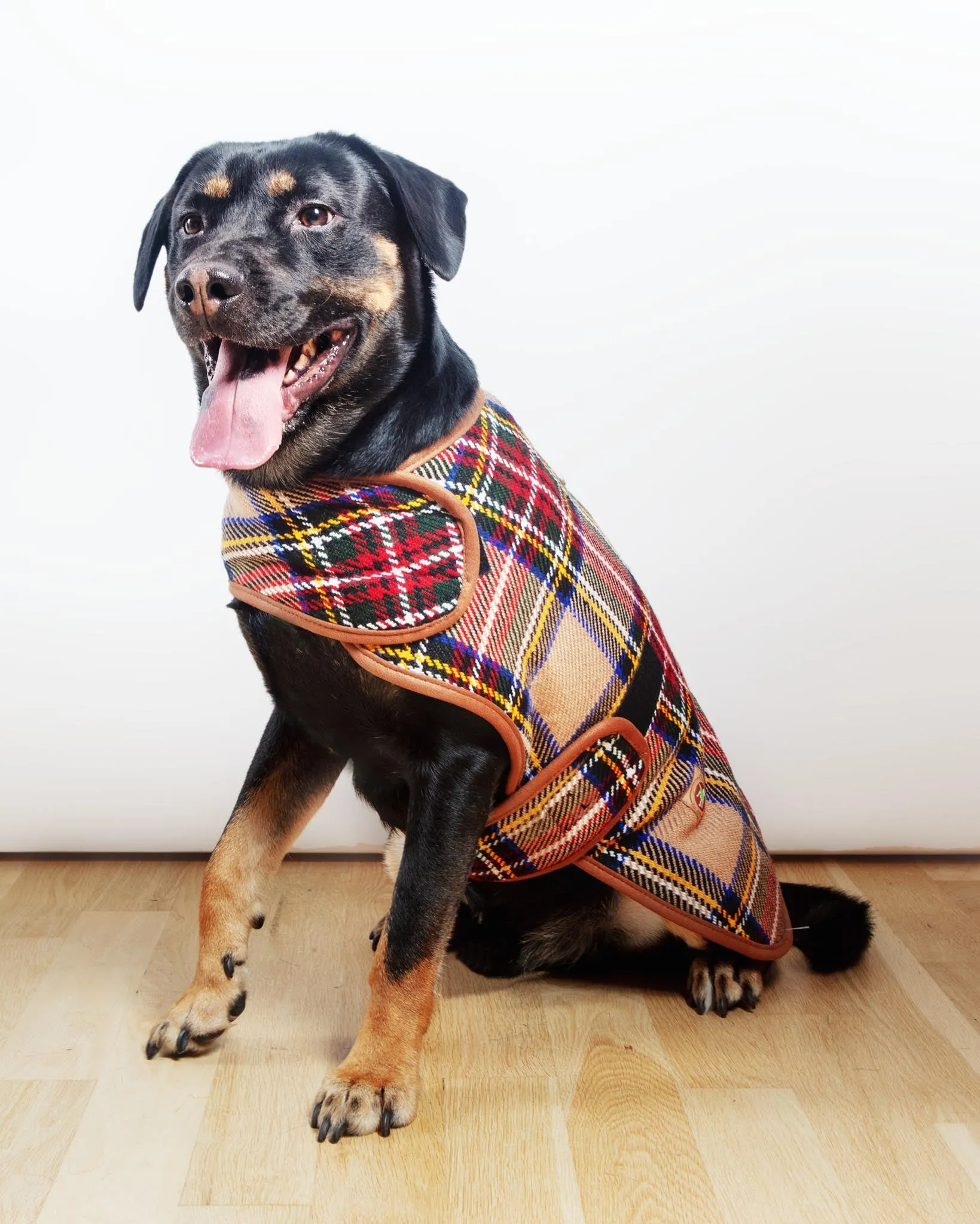 Tan Tartan Plaid Dog Coat