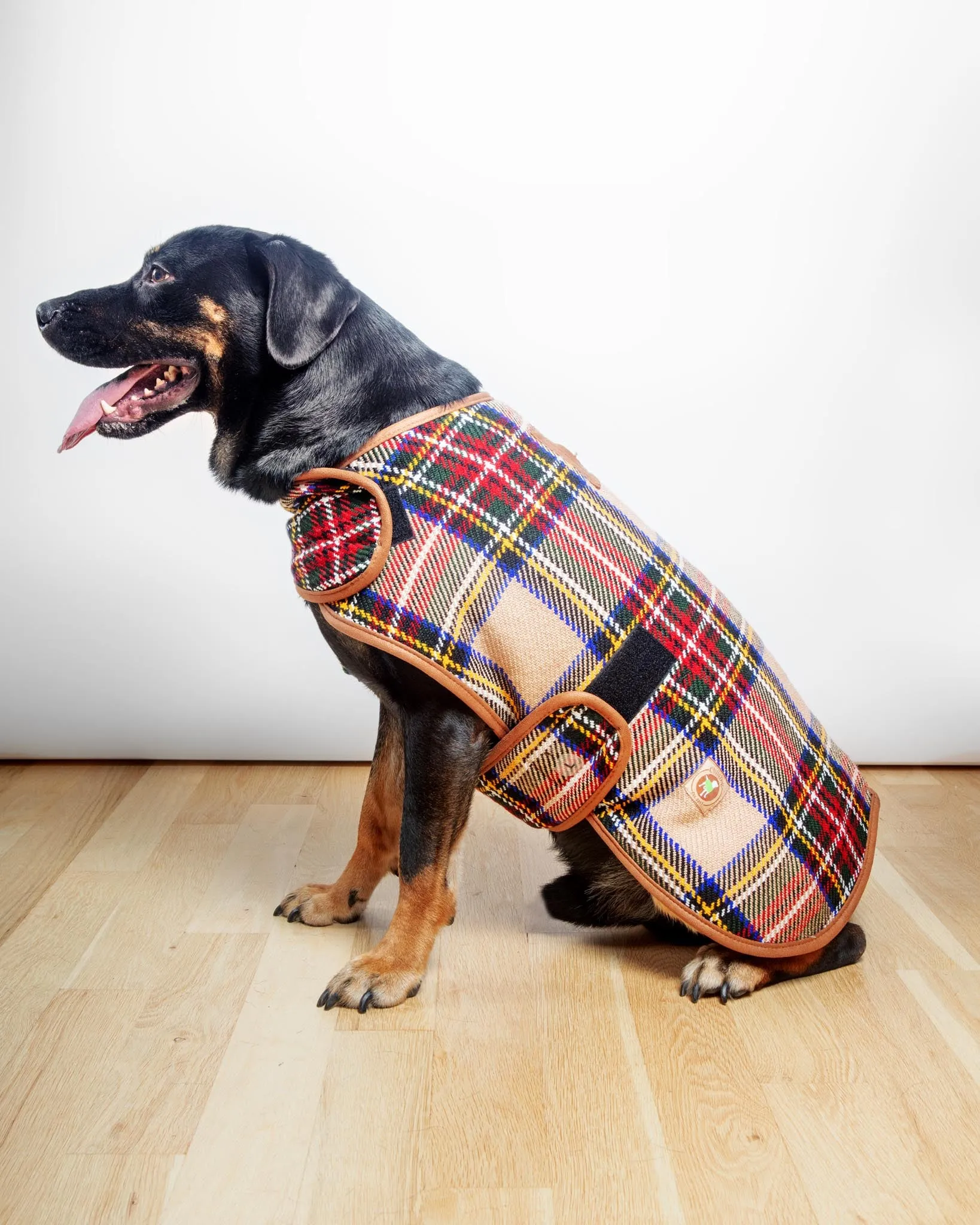 Tan Tartan Plaid Dog Coat