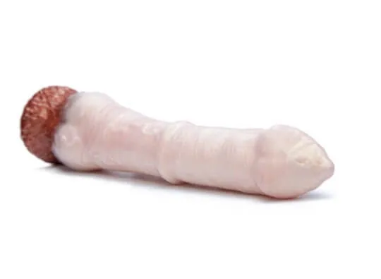 Enchanting Theo the Pegasus Fantasy Dildo - Magical Pleasure Toy for Imaginative Experiences