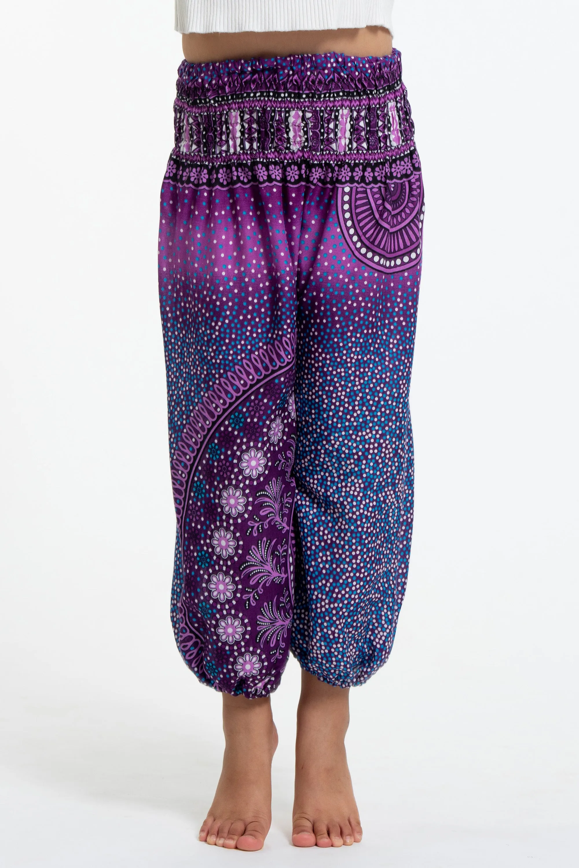 Tribal Chakras Kids Harem Pants in Purple