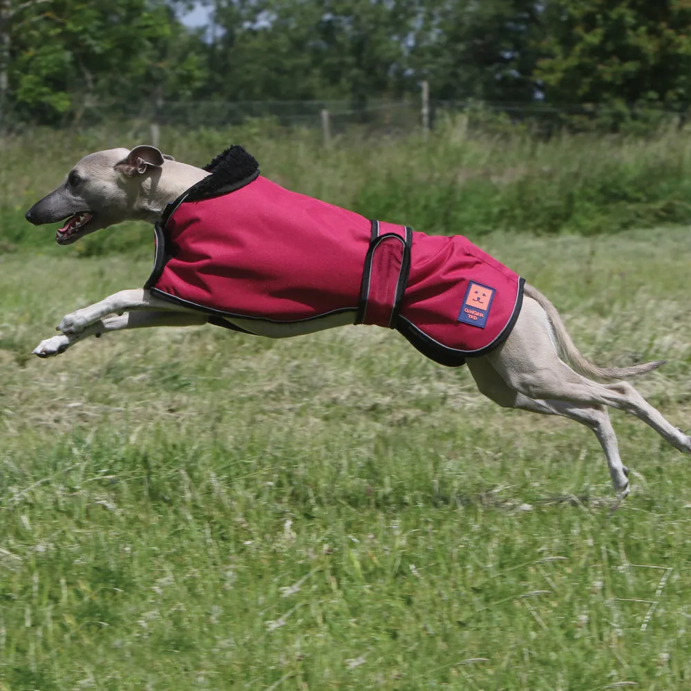 Waterproof Shower Greyhound Dog Coat with Warm Lining